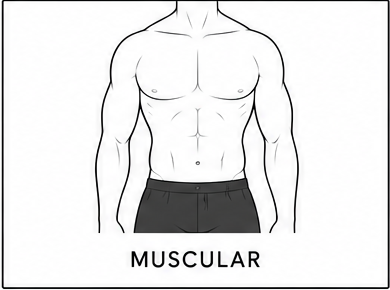 Muscular