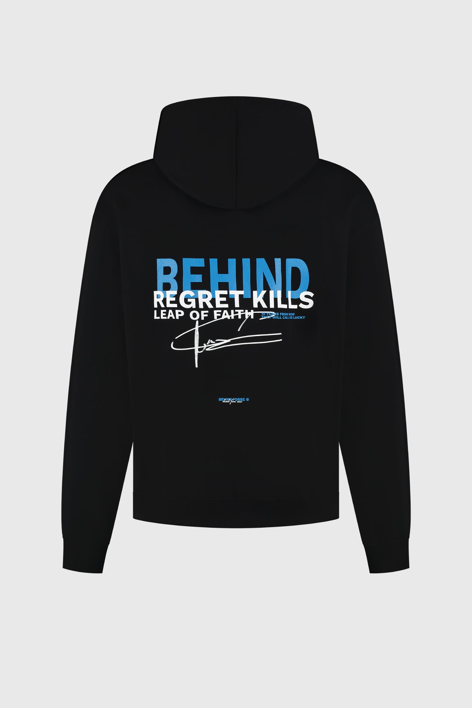 Leap Of Faith Hoodie